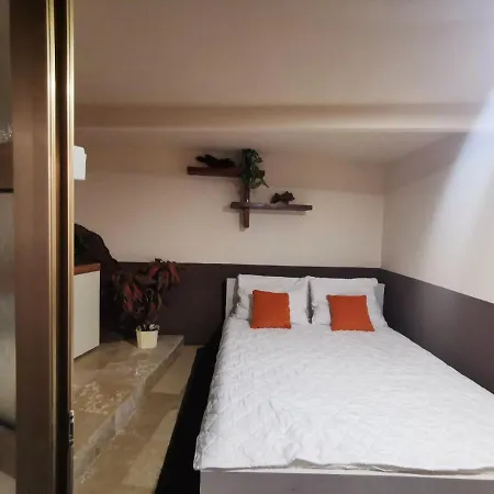 Apartment Somi Medulin